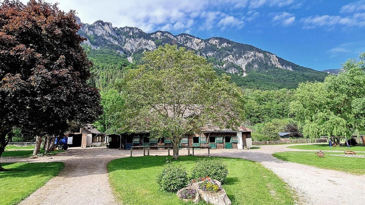 Muehle In Der Pferdewelt Reichenau Apartment ภายนอก รูปภาพ