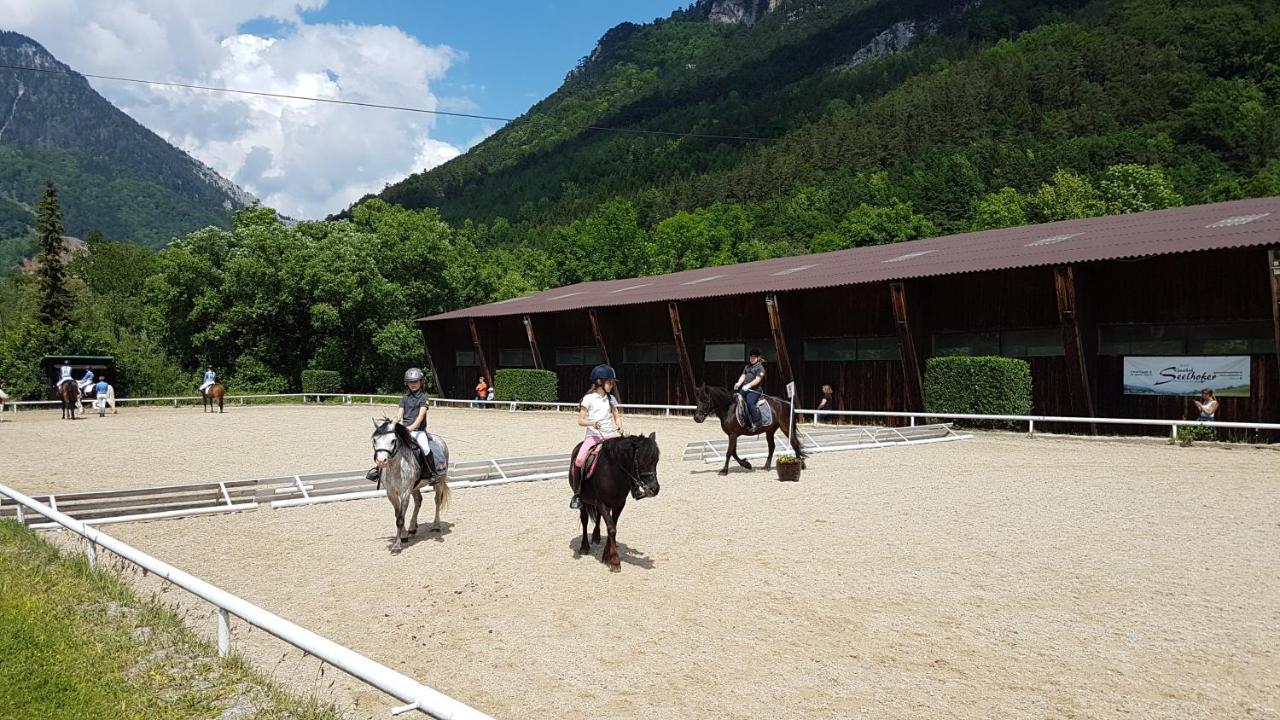 Muehle In Der Pferdewelt Reichenau Apartment ภายนอก รูปภาพ