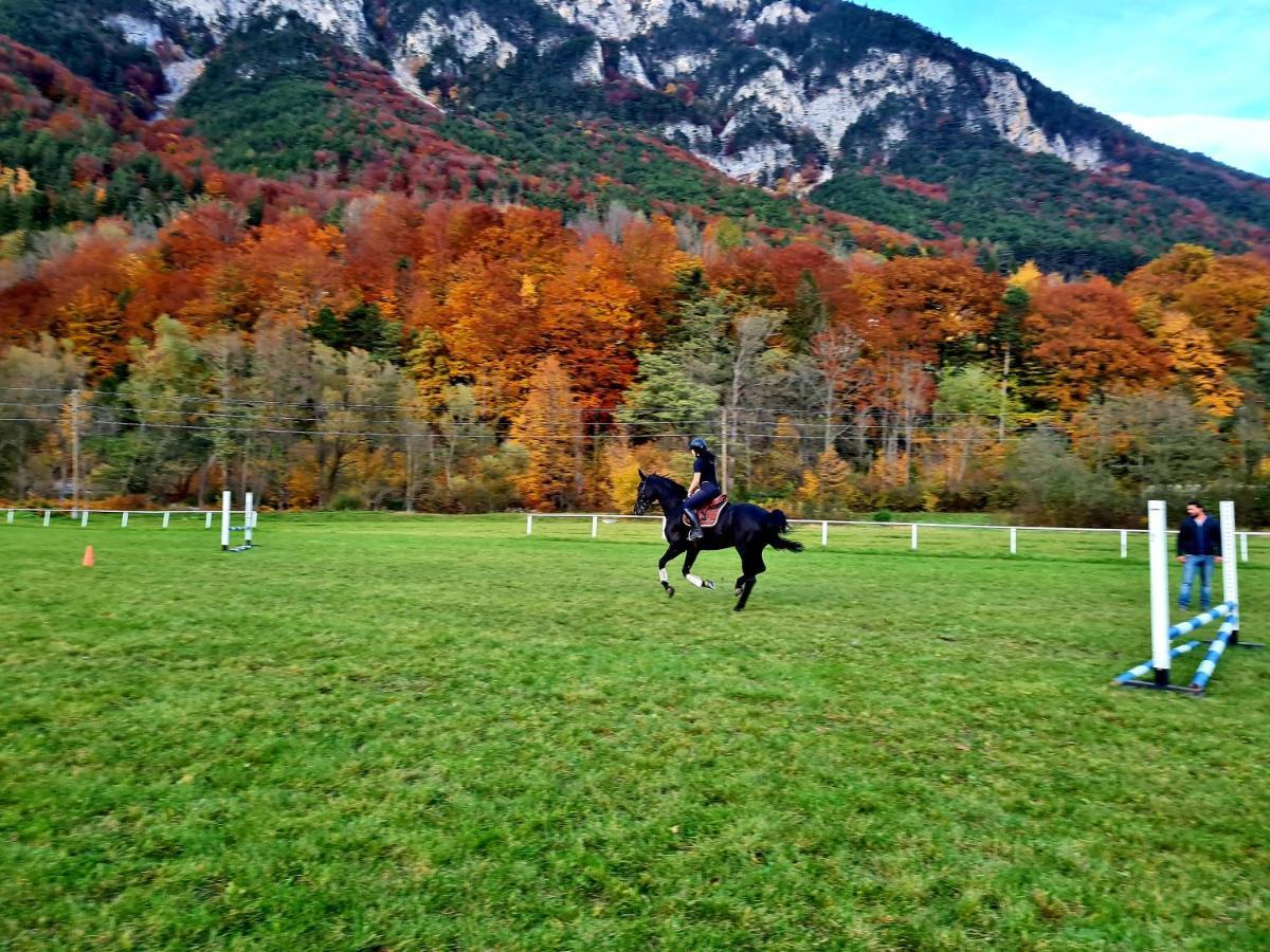 Muehle In Der Pferdewelt Reichenau Apartment ภายนอก รูปภาพ