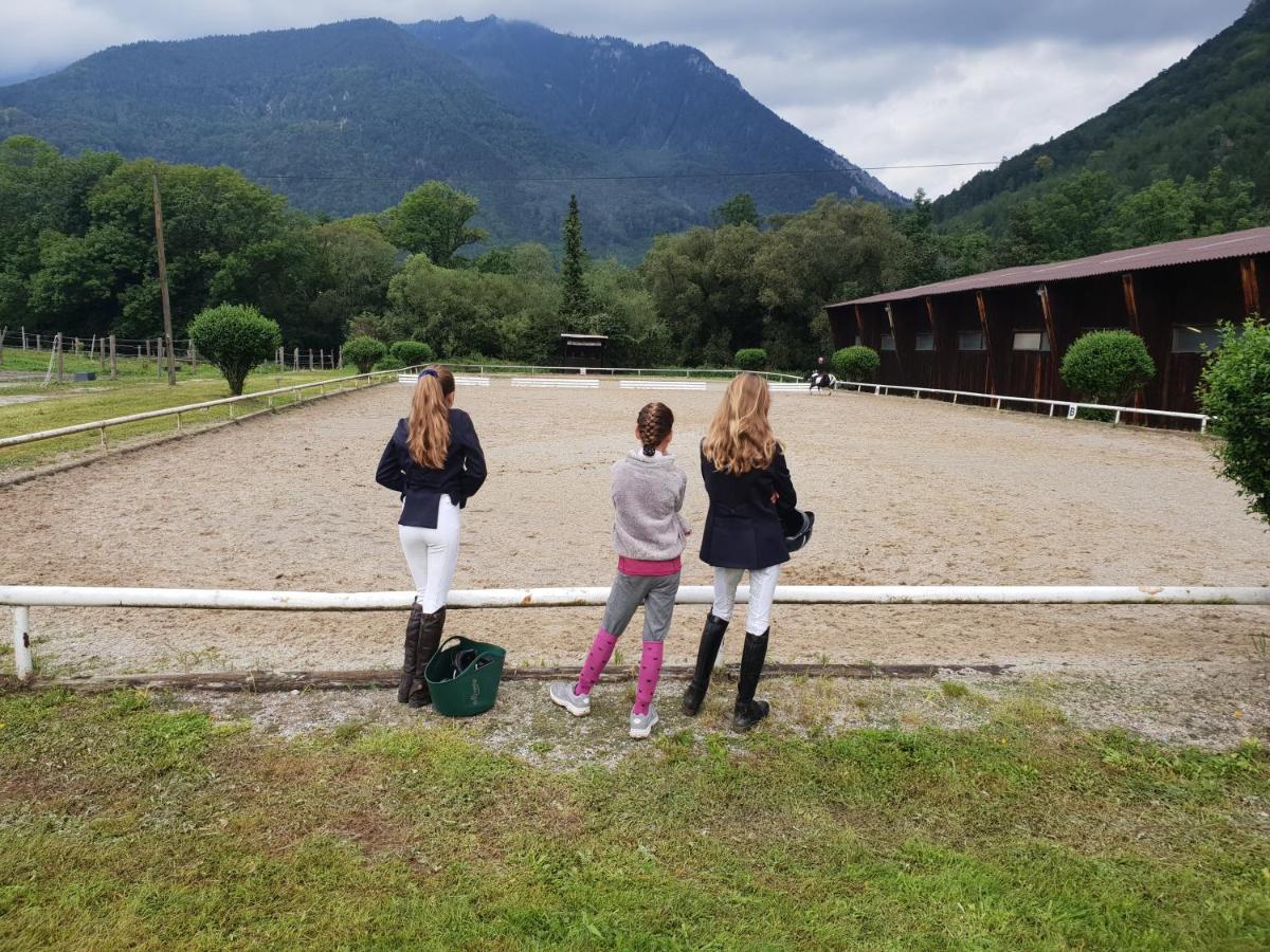 Muehle In Der Pferdewelt Reichenau Apartment ภายนอก รูปภาพ