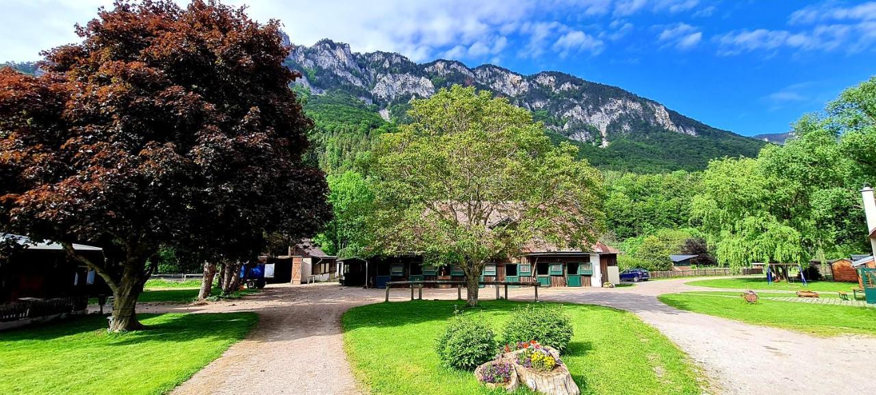 Muehle In Der Pferdewelt Reichenau Apartment ภายนอก รูปภาพ