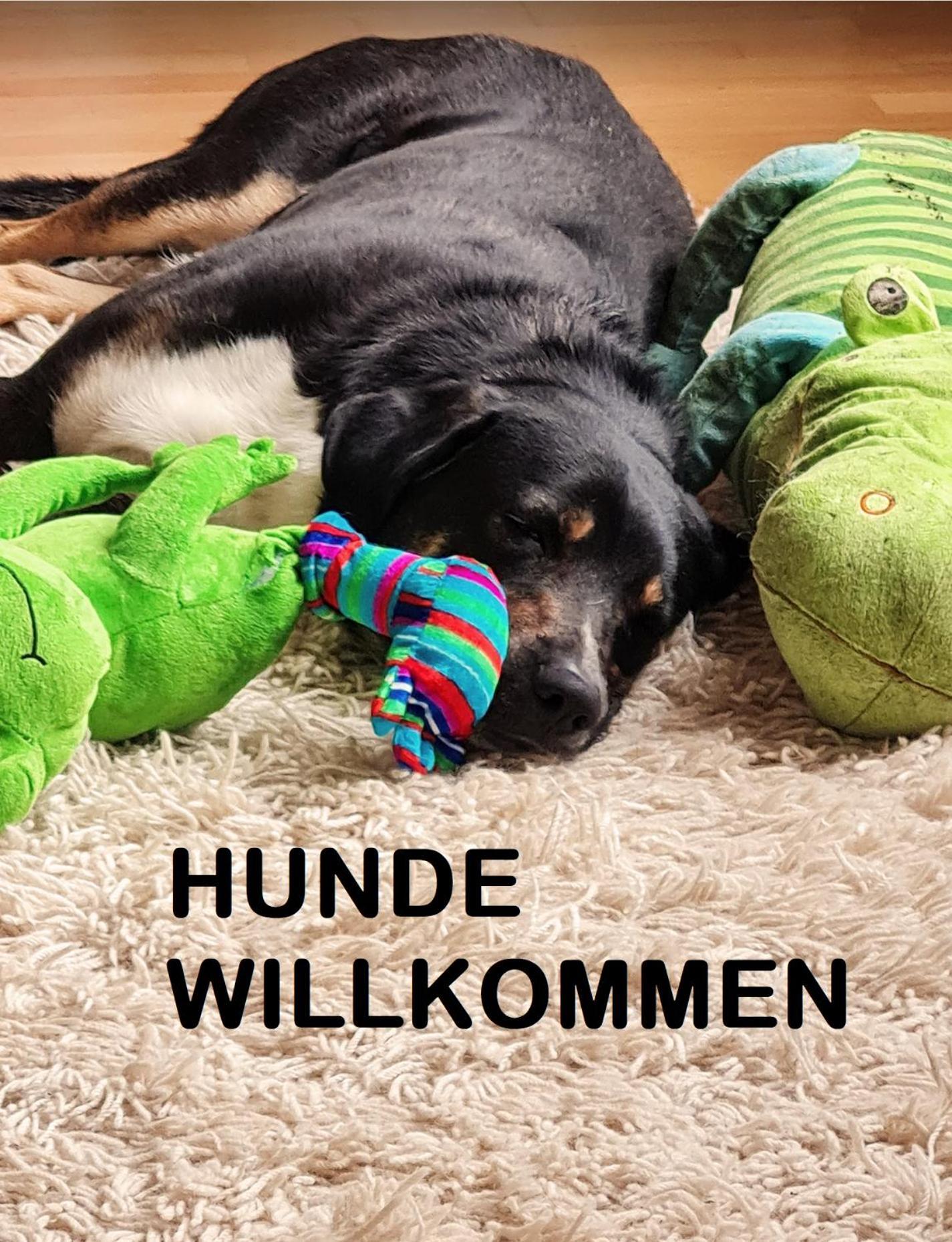 Muehle In Der Pferdewelt Reichenau Apartment ภายนอก รูปภาพ